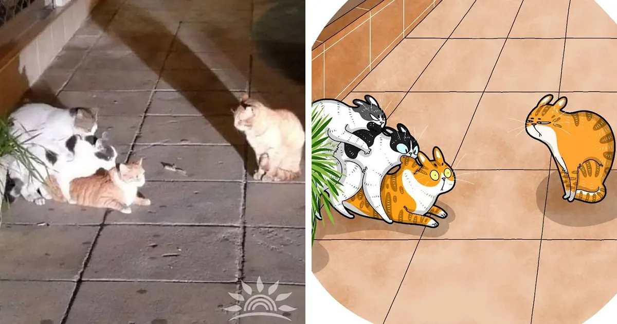 Tactooncat ilustra 30 de las fotos de gatos más famosas y divertidas de internet (Nuevas imágenes)