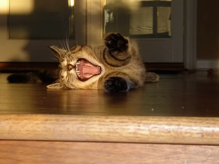 Ahhhhhhhhhh!
