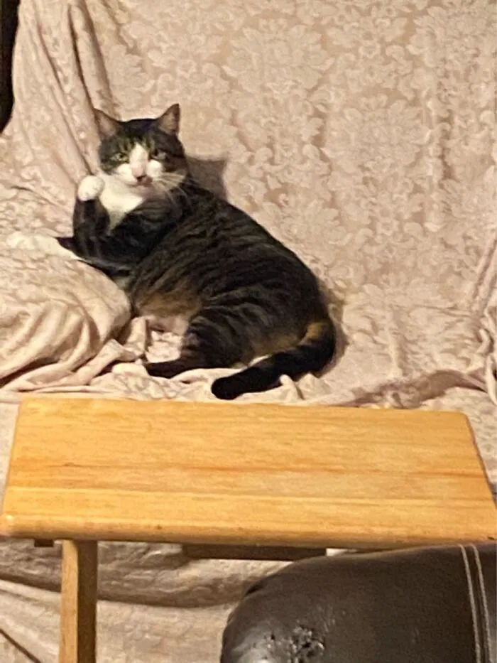 Ringo Starr In His Chair Judging Us All.