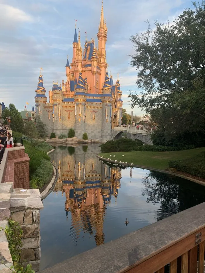 Reflection