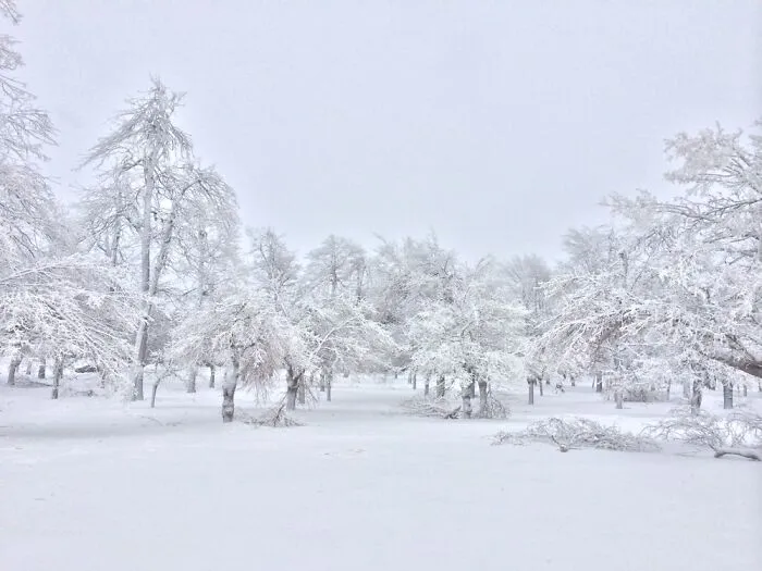 Winter Wonderland In Niagara Falls, NY