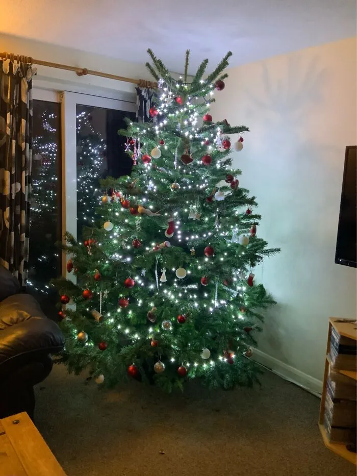 Our Tree This Year