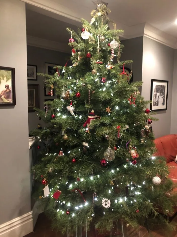 Our Tree This Year