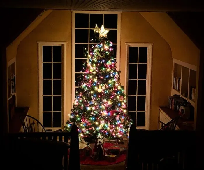 Our Tree.