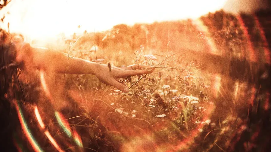 What The F* Is My Life?  A Beautiful Awakening