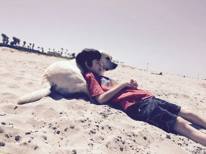 A Dog And His Boy.