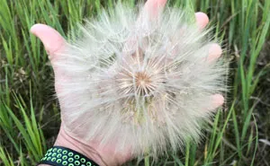 50 Times People Found Such Unexpected Things, They Just Had To Share The Pics Online (New Pics)