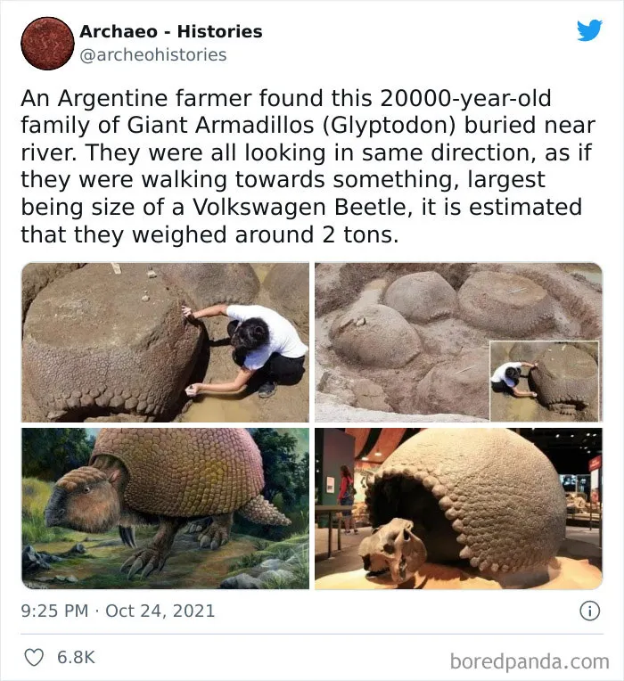 This Twitter Account Shares Interesting Historical Facts The World Should Not Forget (40 Pics)