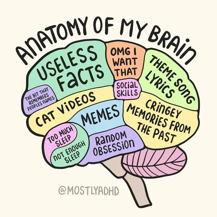 Life With ADHD Illustrated In 24 Comics By This Artist