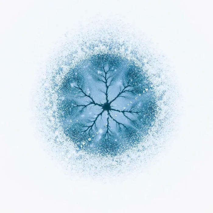 Ganador de la categoría Arte natural: “Célula de hielo” por Gheorghe Popa