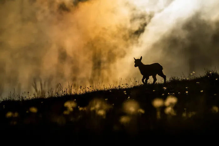 Ganador de la categoría Juventud: “Un mundo hermoso” por Levi Fitze
