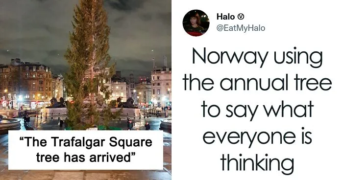 Brits Can’t Contain Their Laughter After Norway Sent Them Their Special Christmas Tree (24 Reactions)
