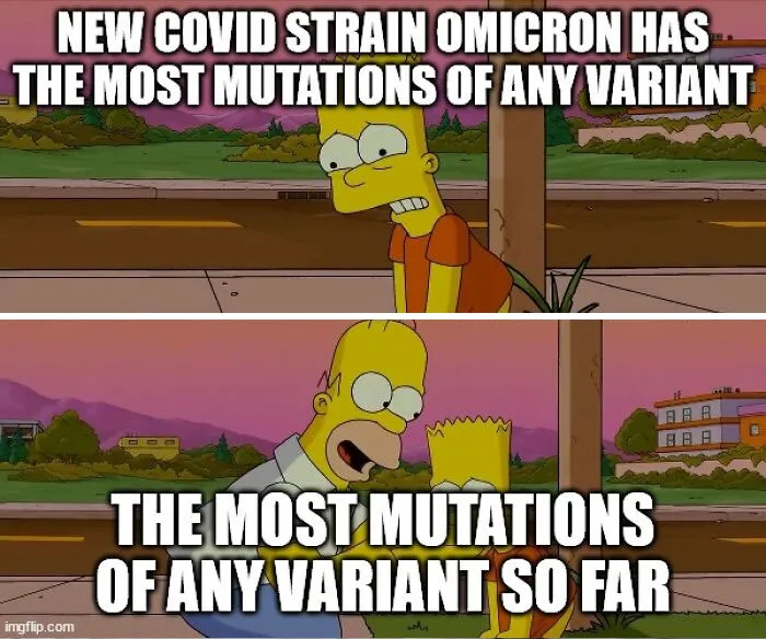 30 Of The Freshest Jokes About The Pandemic And New Covid-19 Variant "Omicron" To Make You Laugh Or Cry