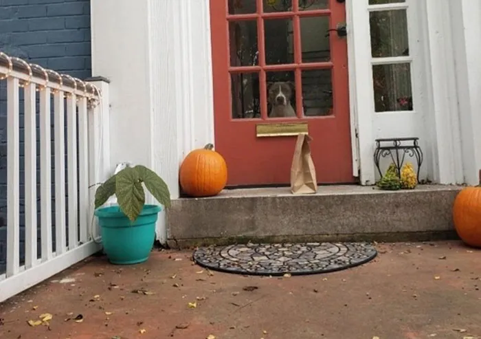 This Is Your Grubhub Driver, Lawrence. I've Left Your Order Outside Of Your Front Door