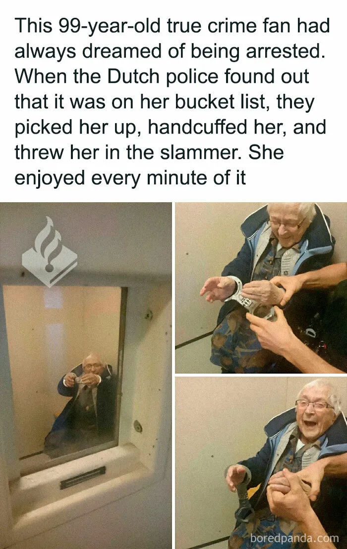 Wholesome-Meets-The-Internet