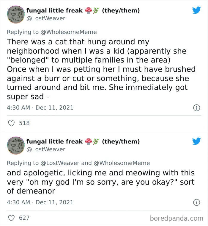 30 Times Pets Creeped Out Their Owners With Their Intelligence
