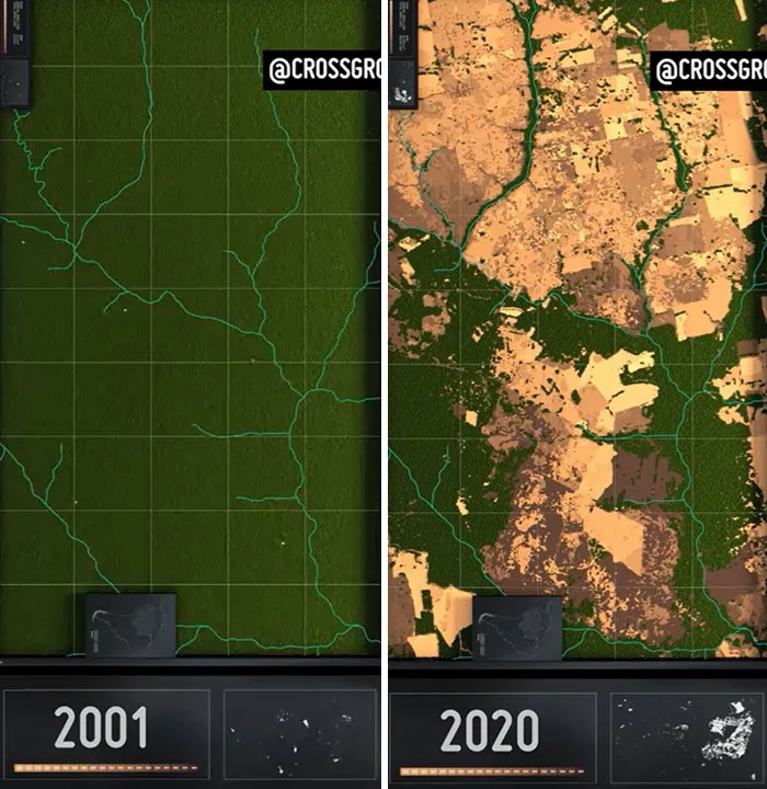 20 años de deforestación en el Amazonas