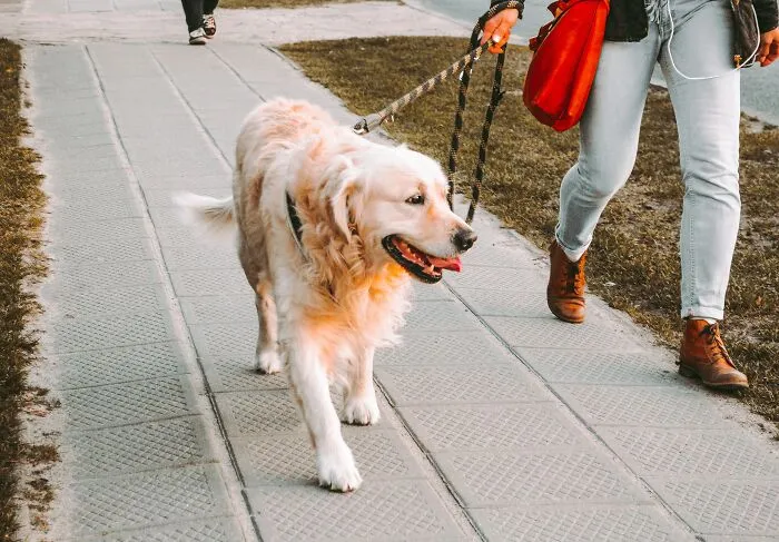 30 People Reveal How Much They Get Paid For The Job They Do