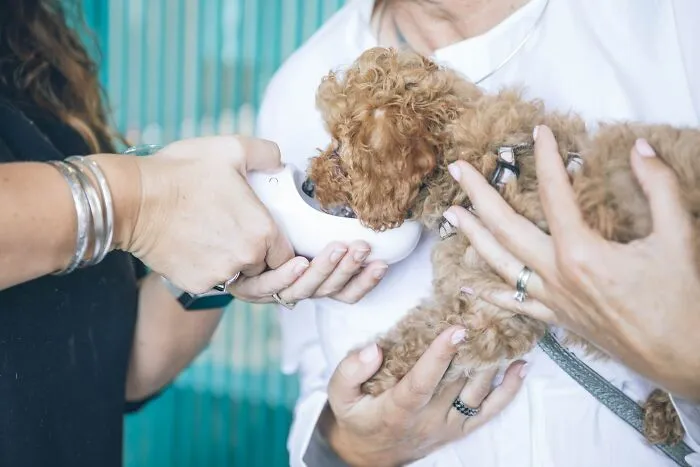 30 People Reveal How Much They Get Paid For The Job They Do