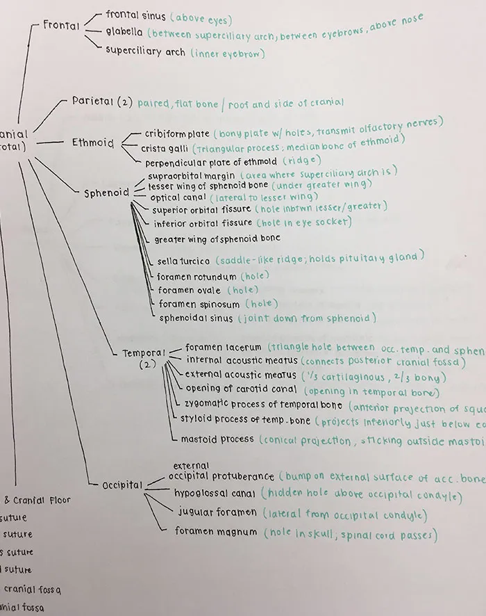 My Friend's Neat Handwriting