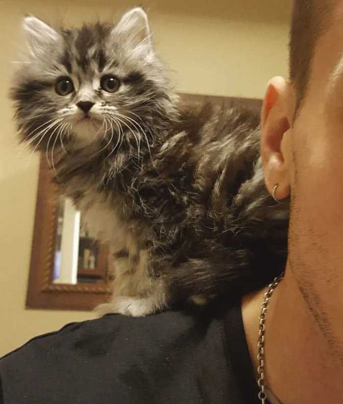 40 Funny And Bizarre Things Pets Do According To Their Owners Who Claim That Nobody Believes Them