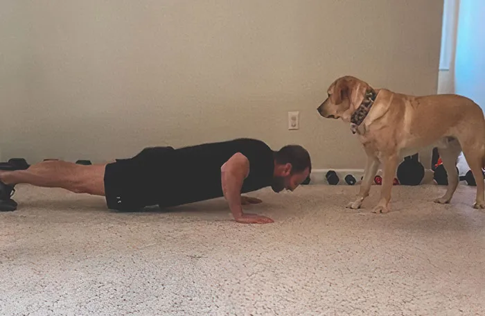 25 Mascotas que hacen cosas extrañas y divertidas, pero sus dueños dicen que nadie les cree
