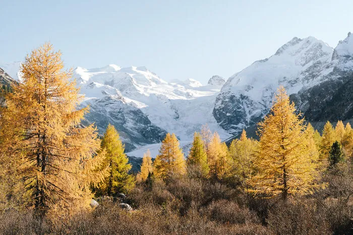 18 Photos Of The Swiss Alps That Will Make You Want To Visit Asap