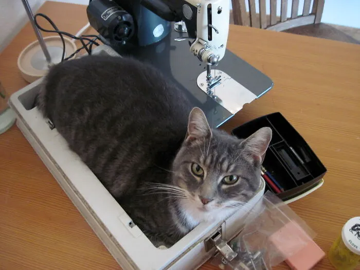 Sewing