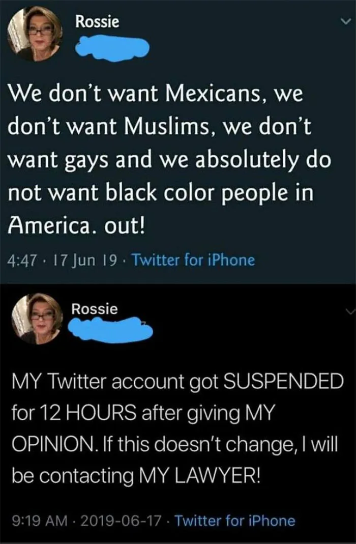 Twitter Karen