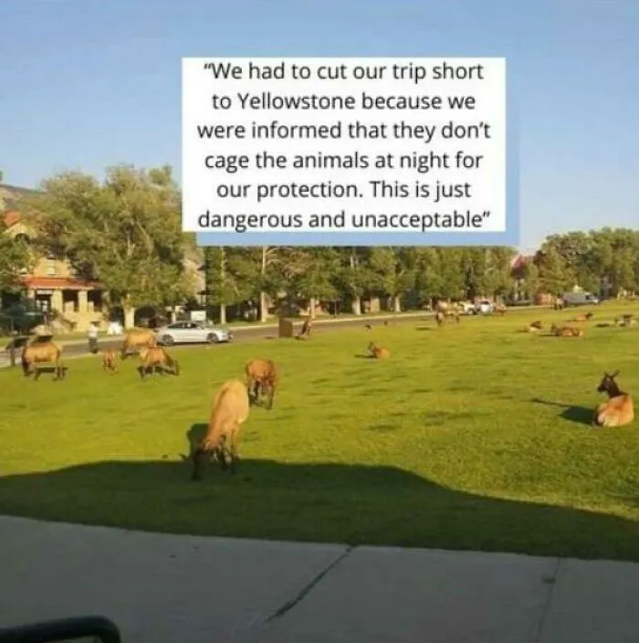 Crappy National Parks