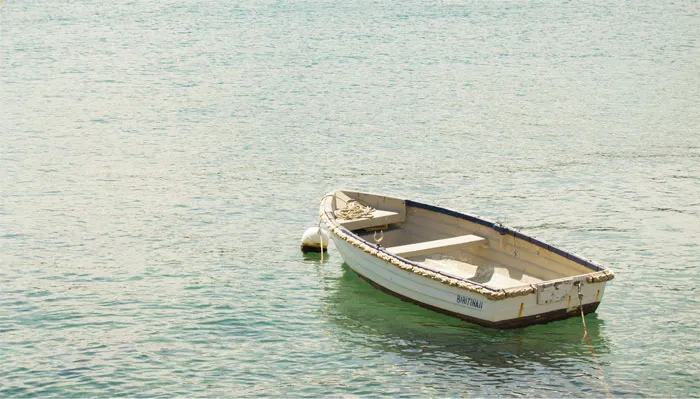 30 Of The Most Creepy Or Weird Things People Witnessed In Oceans, As Shared In This Online Group