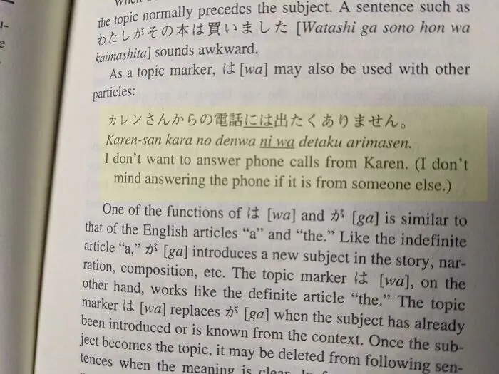 Japan Is 20 Years Ahead Of Us. This Book Was Published In 1997