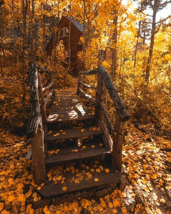 This Place Is The Definition Of Autumn