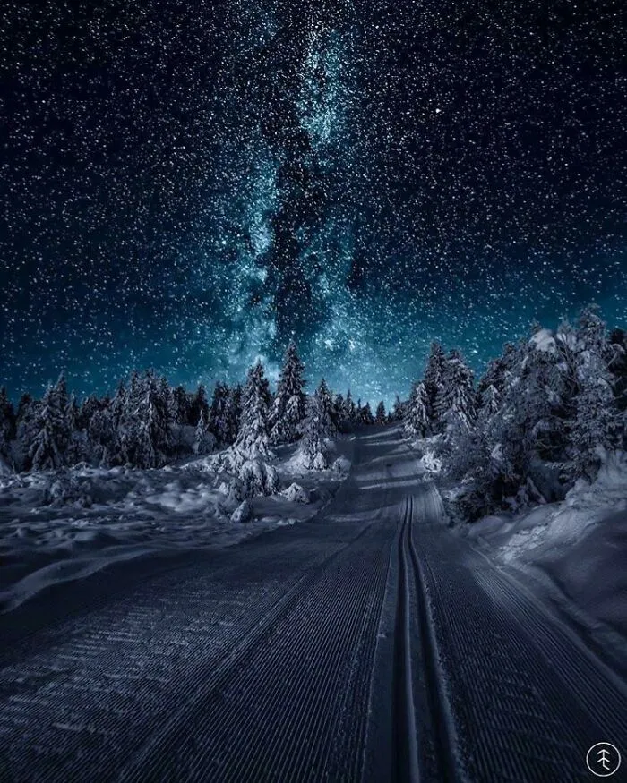 Las estrellas brillan sobre nosotros