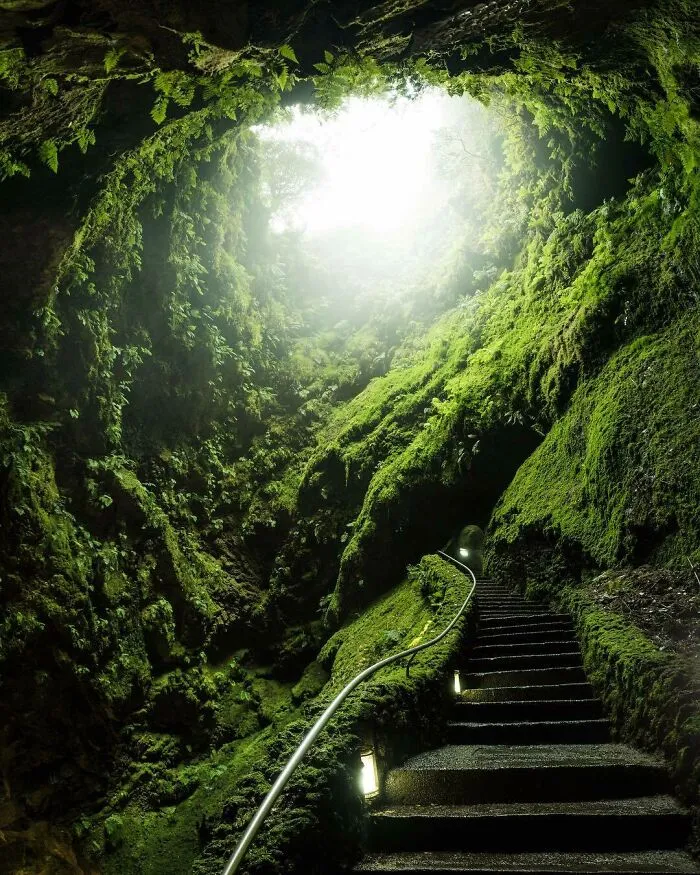 Un paseo por un bosque tropical dentro de un volcán de la isla de Terceira 