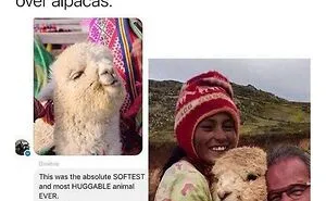 50 Of The Most Blessed Images From This Online Community To Boost Your Mood
