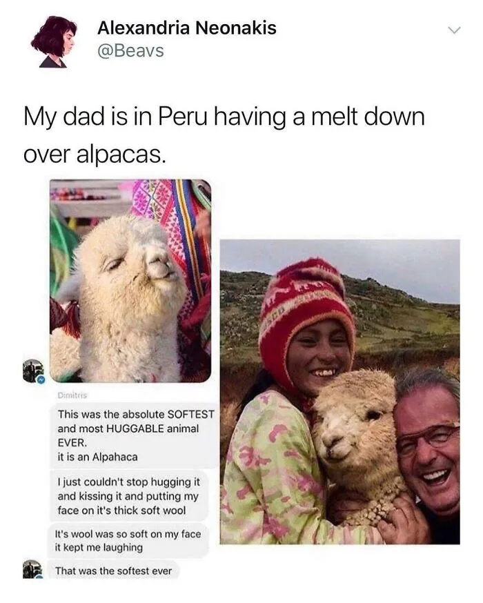 Blessed Wool