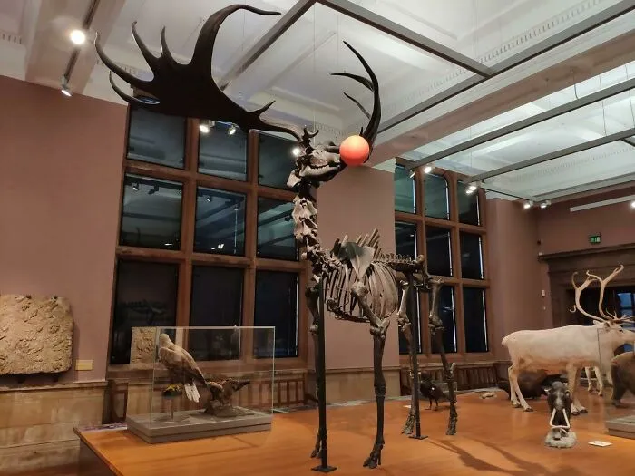 Museo Kelvingrove con su espíritu navideño