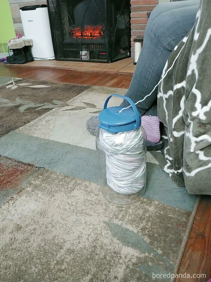 This Is How My Wife Protects Her Yarn From The Cats