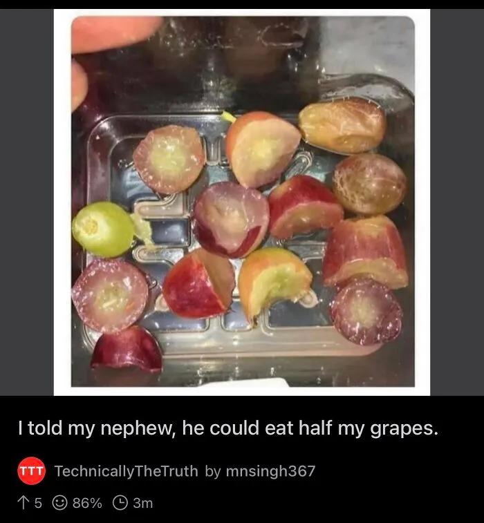 The Dedication Of This Mad Lad Nephew
