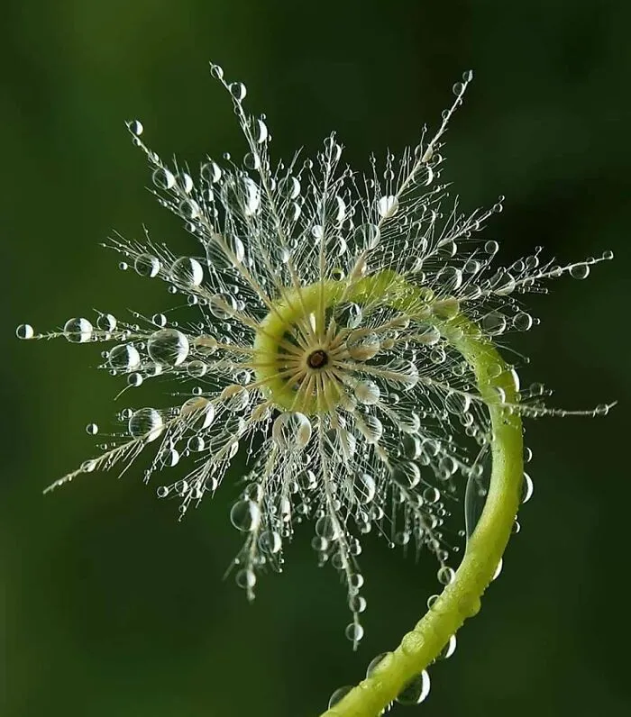 Nature, This Is Some Nice Symmetry