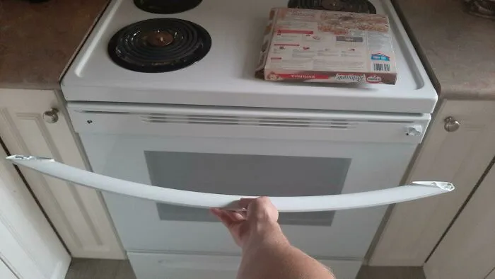 Fue a cocinar una pizza congelada cuando el horno dijo que no