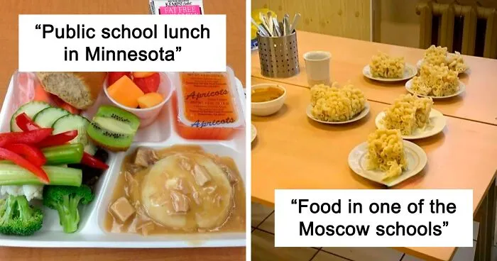 30 Photos Of School Lunches From Around The World That Couldn't Be More Different