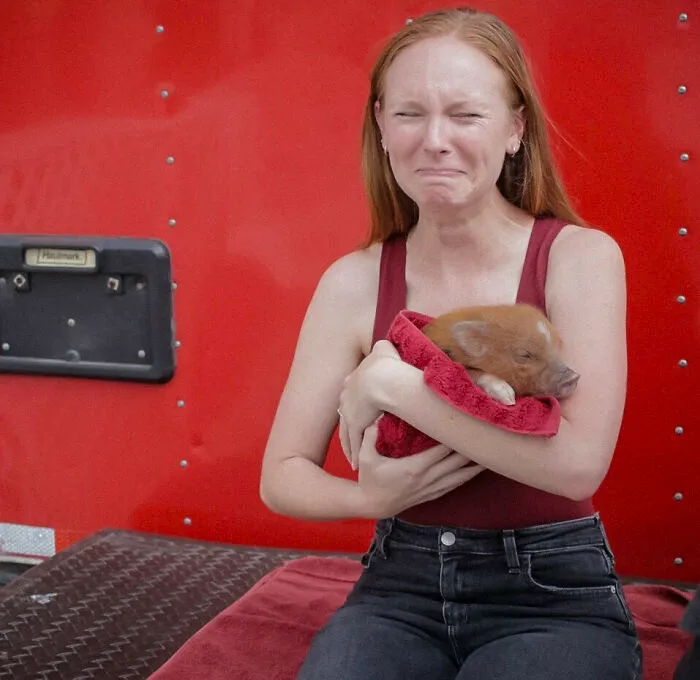 My Girlfriend Is Beyond Obsessed With Mini Pigs, But Had Never Met One. That Changed Today