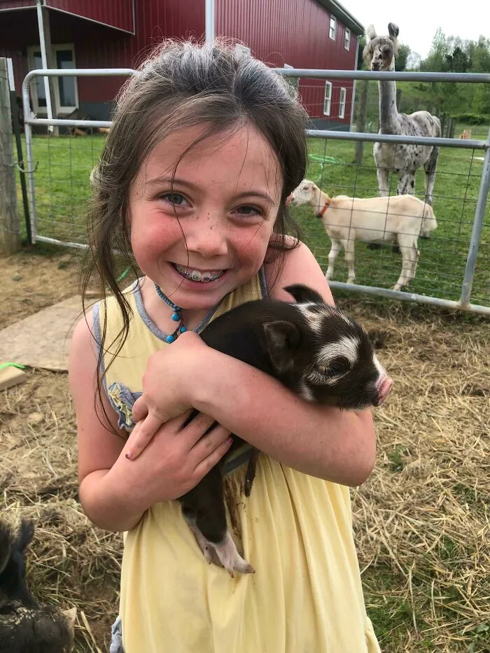 After Waiting 115 Days, Our Little Farm Girl Woke To Brand New Kunekune Piglets!