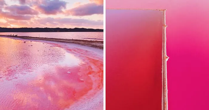 I Captured The Magic Of Pink Lagoon In Western Australia (20 Pics)