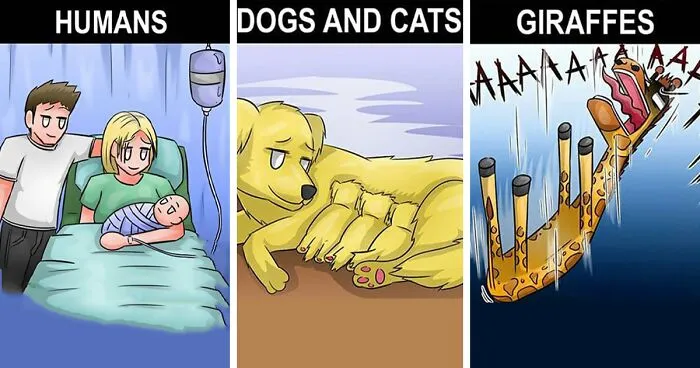 Artist Creates Fun Comics That Illustrate Familiar Life Situations (50 Pics)