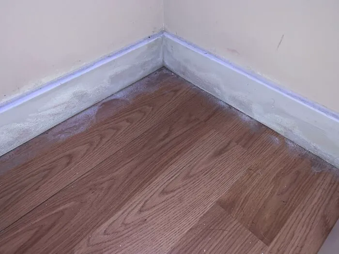 I Live In Central Alberta, It Got Down To Roughly -45°C Tonight. Woke Up To Frost In The Corner Of My Bedroom