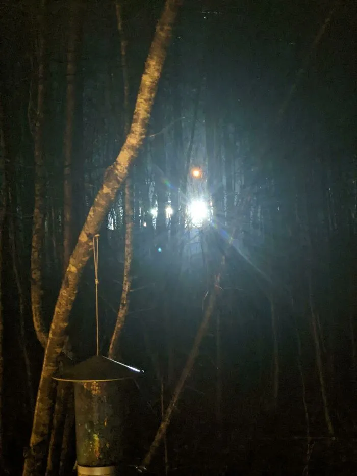 Mi esposa y yo ahorramos durante años para construir la cabaña de nuestros sueños en el bosque. Menos de dos años después, una casa abandonada al otro lado de la carretera decidió abrir una tienda de tabaco