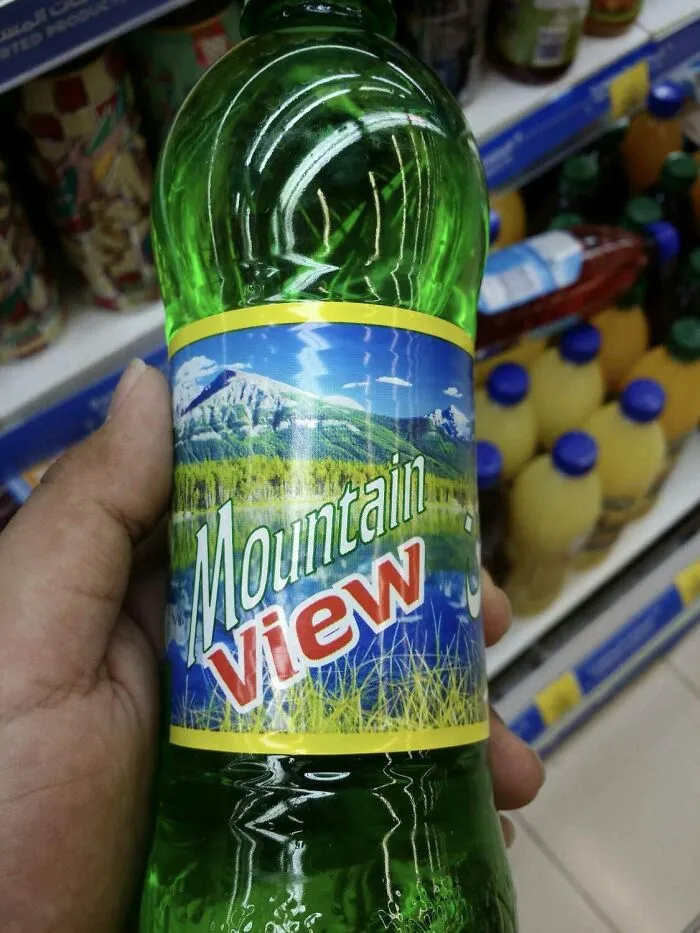 Wow What A Good View?